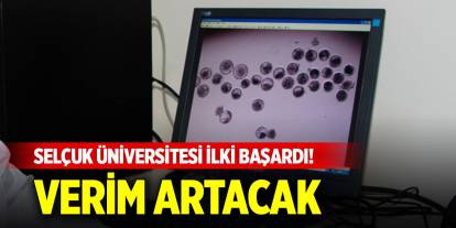 Selçuk Üniversitesi ilki başardı! Hayvancılıkta verim artışı sağlanacak