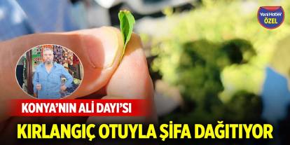 Konya’nın Ali Dayı’sı kırlangıç otuyla şifa dağıtıyor