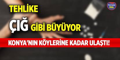 Konya'nın köylerine kadar ulaştı! Tehlike çığ gibi büyüyor