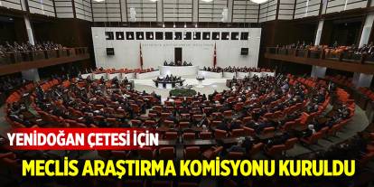 Yenidoğan skandalı için Meclis Araştırma Komisyonu kuruldu