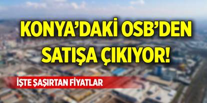 Konya’daki OSB'den satışa çıkıyor! İşte şaşırtan fiyatlar