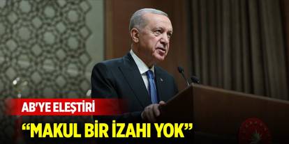 Cumhurbaşkanı Erdoğan'dan AB'ye eleştiri: Makul bir izahı yok