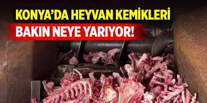 Konya'da akıllı dönüşüm... Hayvan kemikleri bakın ne işe yarıyor