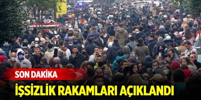 Son Dakika! TÜİK, işsizlik rakamlarını açıkladı