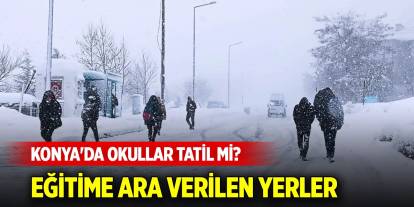 Konya'da okullar tatil mi? 26 Kasım 2024 Eğitime ara verilen yerler