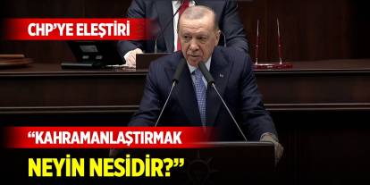 Cumhurbaşkanı Erdoğan'dan CHP'ye eleştiri: Kahramanlaştırmak neyin nesidir?