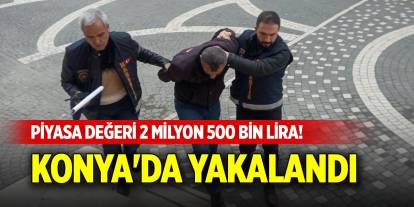 Piyasa değeri 2 milyon 500 bin lira! Konya'da yakalandı