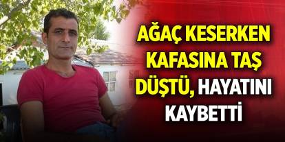 Ağaç keserken kafasına taş düştü, hayatını kaybetti