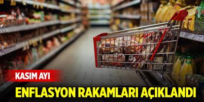 Son Dakika! Kasım ayı enflasyon rakamları açıklandı