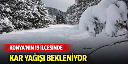 Meteoroloji müjdeyi verdi! Konya'nın 19 ilçesinde kar yağışı bekleniyor