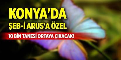 Konya'da Şeb-i Arus'a özel 10 bin tanesi ortaya çıkacak!