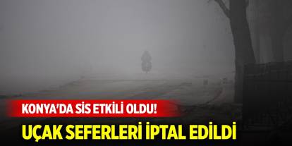 Konya'da sis etkili oldu! Uçak seferleri iptal edildi