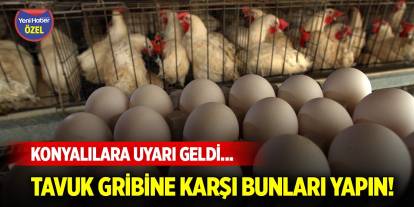 Konyalılara uyarı geldi... Tavuk gribine karşı bunları yapın!