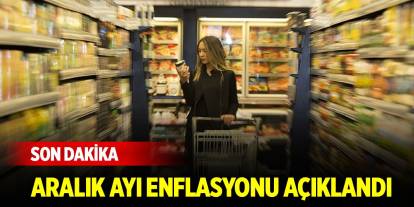 Son Dakika! Aralık ayı enflasyon rakamları açıklandı