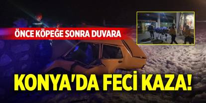 Konya'da feci kaza! Önce köpeğe sonra duvara