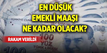 Uzman isim en düşük emekli maaşı için yeni rakam verdi!