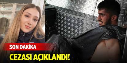 Açıklandı! Şeyda Yılmaz'ı şehit eden Yunus Emre Geçti bakın kaç yıl ceza aldı!