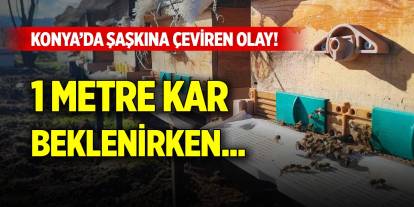 Konya’da şaşkına çeviren olay! 1 metre kar beklenirken...