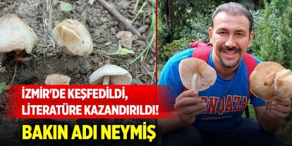 İzmir'de keşfedildi, literatüre kazandırıldı! Bakın adı neymiş