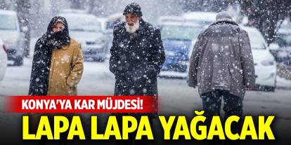 Meteorolojiden Konya'ya kar müjdesi! Lapa lapa yağacak