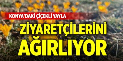 Konya'daki çiçekli yayla ziyaretçilerini ağırlıyor