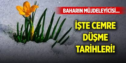 Baharın müjdeleyicisi... İşte cemre düşme tarihleri...