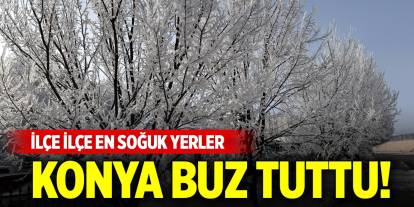 Konya buz tuttu! İşte ilçe ilçe en soğuk yerler (20 Mart 2025)