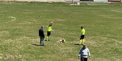 Konya'da amatör müsabakada sahaya giren köpeğe kırmızı kart