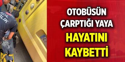 Otobüsün çarptığı yaya hayatını kaybetti