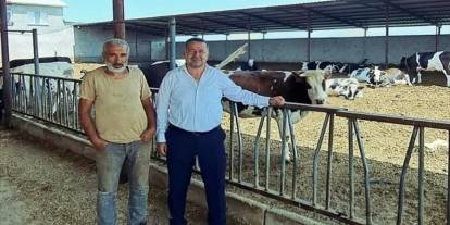 Konya'daki belediye hayvan gübrelerini toplatıyor!