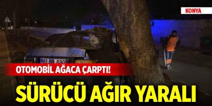 Konya'da otomobil ağaca çarptı! Sürücü ağır yaralı