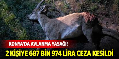 Konya’da avlanma yasağı! 2 kişiye 687 bin 974 lira ceza kesildi