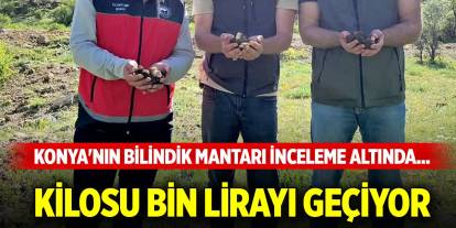 Konya'nın bilindik mantarı inceleme altında... Kilosu bin lirayı geçiyor