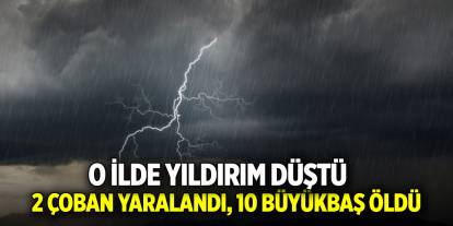O ilde yıldırım düştü; 2 çoban yaralandı, 10 büyükbaş öldü