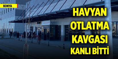 Konya'da havyan otlatma kavgası kanlı bitti
