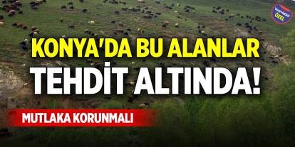 Konya'da bu alanlar tehdit altında! Mutlaka korunmalı