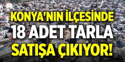 Konya'nın ilçesinde 18 adet tarla satışa çıkıyor!