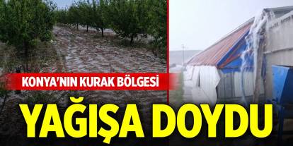 Konya'nın kurak bölgesinde metrekareye 20 kilogram yağış düştü