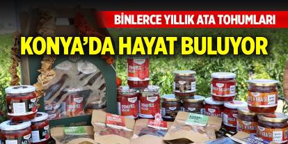 Binlerce yıllık ata tohumları Konya’da hayat buluyor