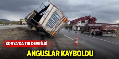 Konya'da tır devrildi, anguslar kayboldu