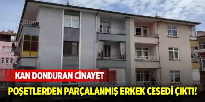 Kan donduran cinayet: Buzdolabındaki poşetlerden parçalanmış erkek cesedi çıktı!