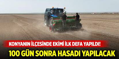 Konyanın ilçesinde ekimi ilk defa yapıldı! 100 gün sonra hasadı yapılacak