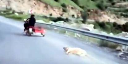 Köpeği motosiklete bağlayıp sürüklemişti! Gözaltına alındı