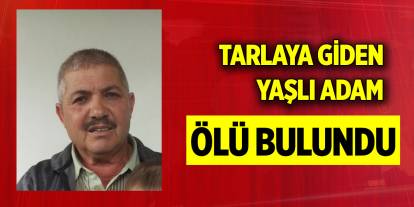 Tarlaya giden yaşlı adam ölü bulundu