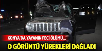 Konya'da yayanın feci ölümü... O görüntü yürekleri dağladı