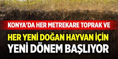 Konya'da her metrekare toprak ve her yeni doğan hayvan için yeni dönem başlıyor