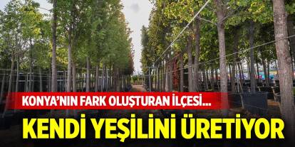 Konya’nın fark oluşturan ilçesi... Kendi yeşilini üretiyor