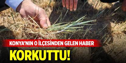 Konya'nın o ilçesinden gelen haber korkuttu