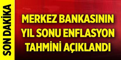 Son Dakika! İşte Merkez Bankasının yıl sonu enflasyon tahmini