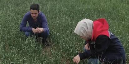 Konya Kulu’da süne sürvey çalışmaları devam ediyor